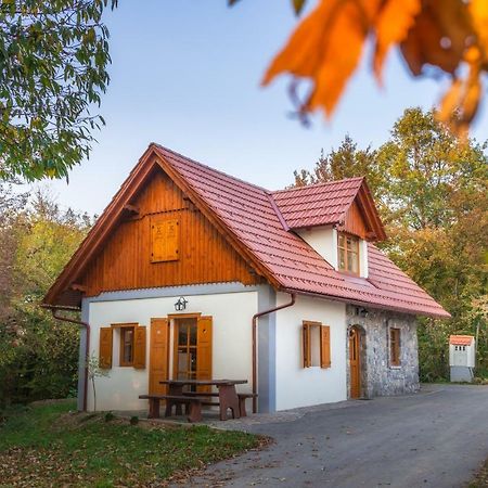 Vineyard Cottage Vina In Medu 特贝尔诺 外观 照片